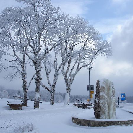 Hotel Restaurant Vue-Des-Alpes La Vue-des-Alpes Ngoại thất bức ảnh